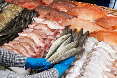 Fresh catch ready for cold storage